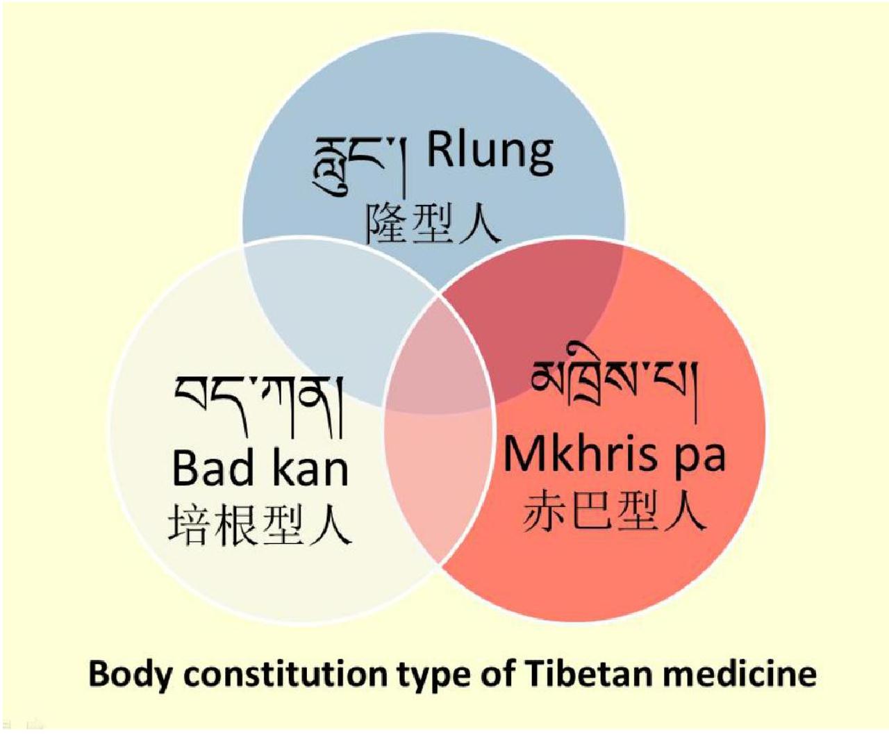 Tcm Body Constitution Types